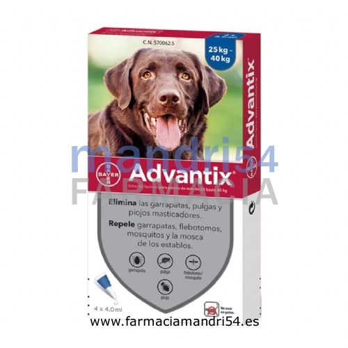 ADVANTIX SOLUCION SPOT-ON PARA PERROS DE MAS DE 25 HASTA 40 kg
