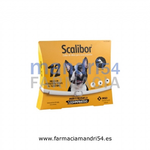 SCALIBOR COLLAR
