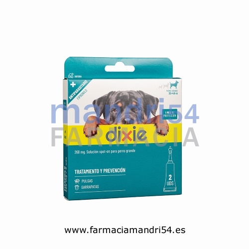 DIXIE 268 mg SOLUCION SPOT ON PARA PERROS GRANDES