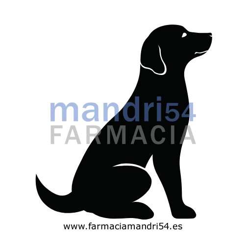PIRETRON 1430 mg SOLUCION SPOT-ON PARA PERROS