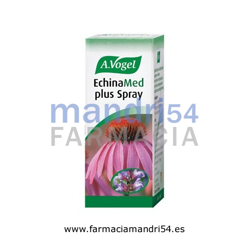 ECHINAMED PLUS SPRAY SOLUCION PARA PULVERIZACION BUCAL, 1 envase pulverizador de 30 ml