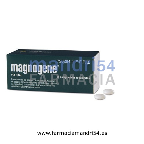 MAGNOGENE 53 mg COMPRIMIDOS RECUBIERTOS, 45 comprimidos