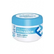 Farline balsamo reparador nariz y labios (1 envase 15 ml)